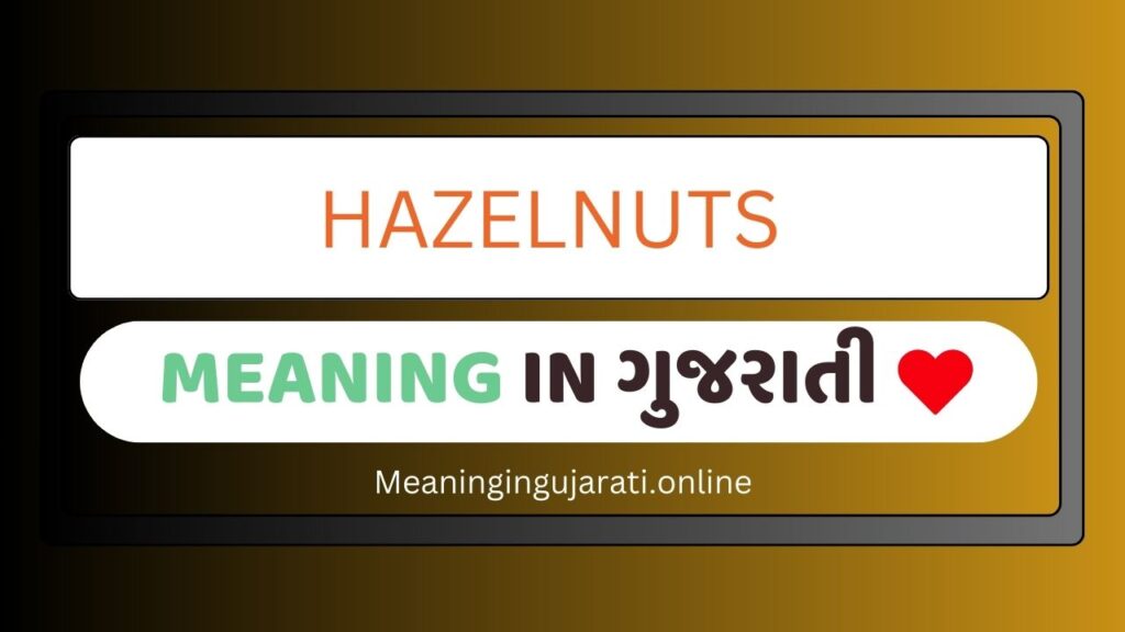 Hazelnuts Meaning in Gujarati