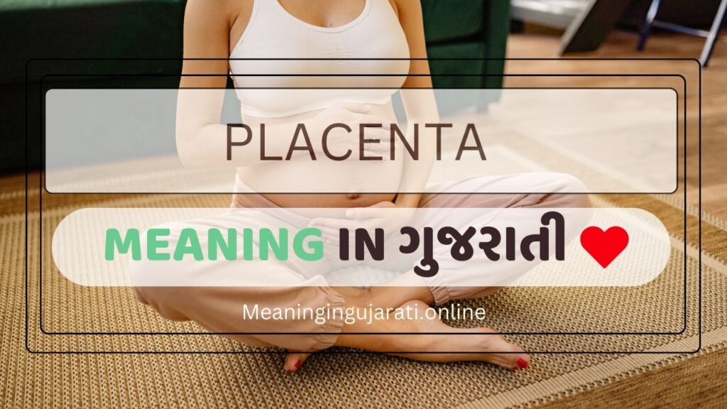 Placenta meaning in Gujarati