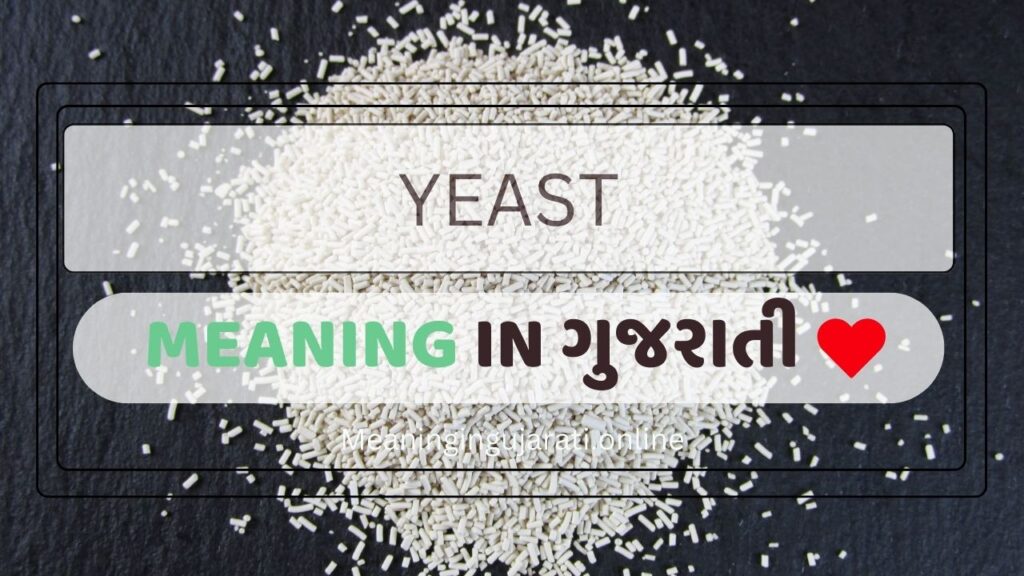 Yeast meaning in Gujarati