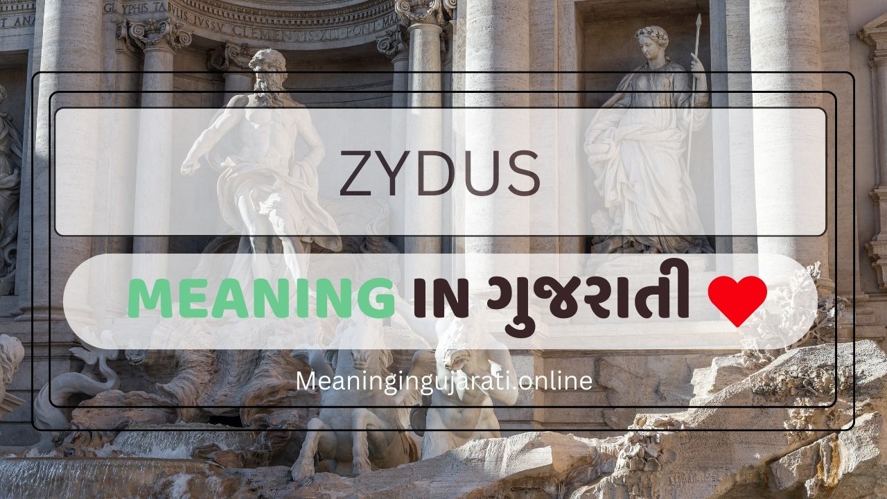 Zydus meaning in Gujarati